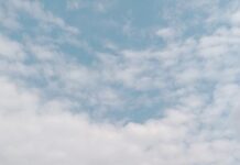 Trafic d’ivoire à Franceville : trois Gabonais interpellés avec dix défenses d’éléphants