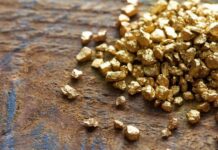 Trafic aurifère : 16 orpailleurs étrangers arrêtés à 150 km de Makokou