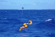 Surveillance et solidarité : les pêcheurs gabonais reprennent le contrôle de leurs eaux