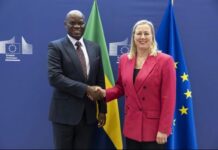 Pêche : le Gabon tourne la page de son partenariat avec l’Union européenne