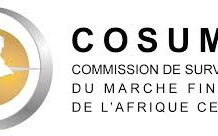 Fraudes en ligne : La COSUMAF mobilise l’Afrique via l’OCDE/INFE